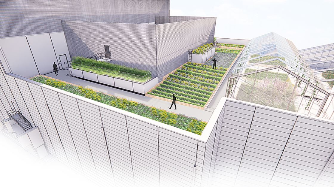 The role of urban agriculture in modern architectural design