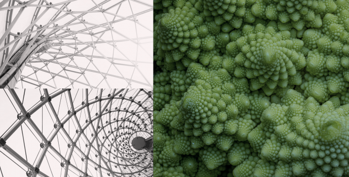 The Power of Biomimicry in Architecture
